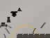 item-210473802=10
