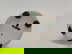 item-210473919=11