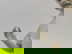 item-210473919=6