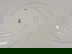 item-210473924=11