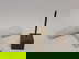 item-210473990=18