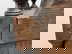 item-210474014=17