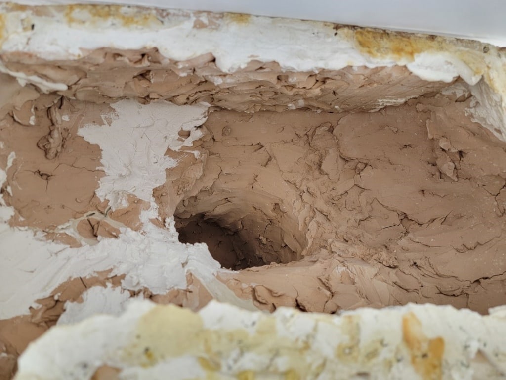 ANTQ DOMENICO PAGANO POLYCHROME EARTHENWARE BUST - 11