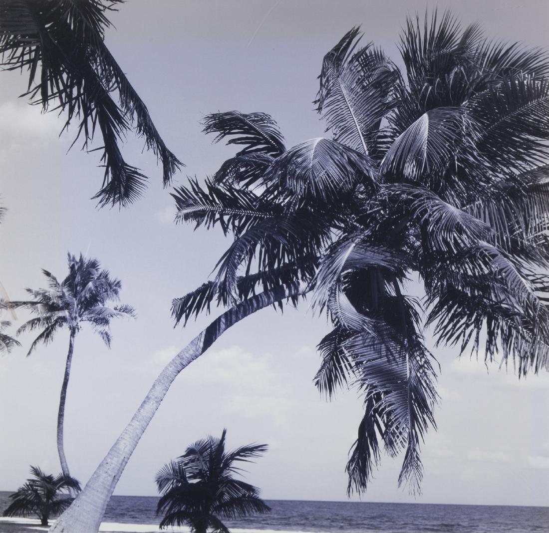 TWO ISLAND PHOTOGRAPHS (1 of 2)