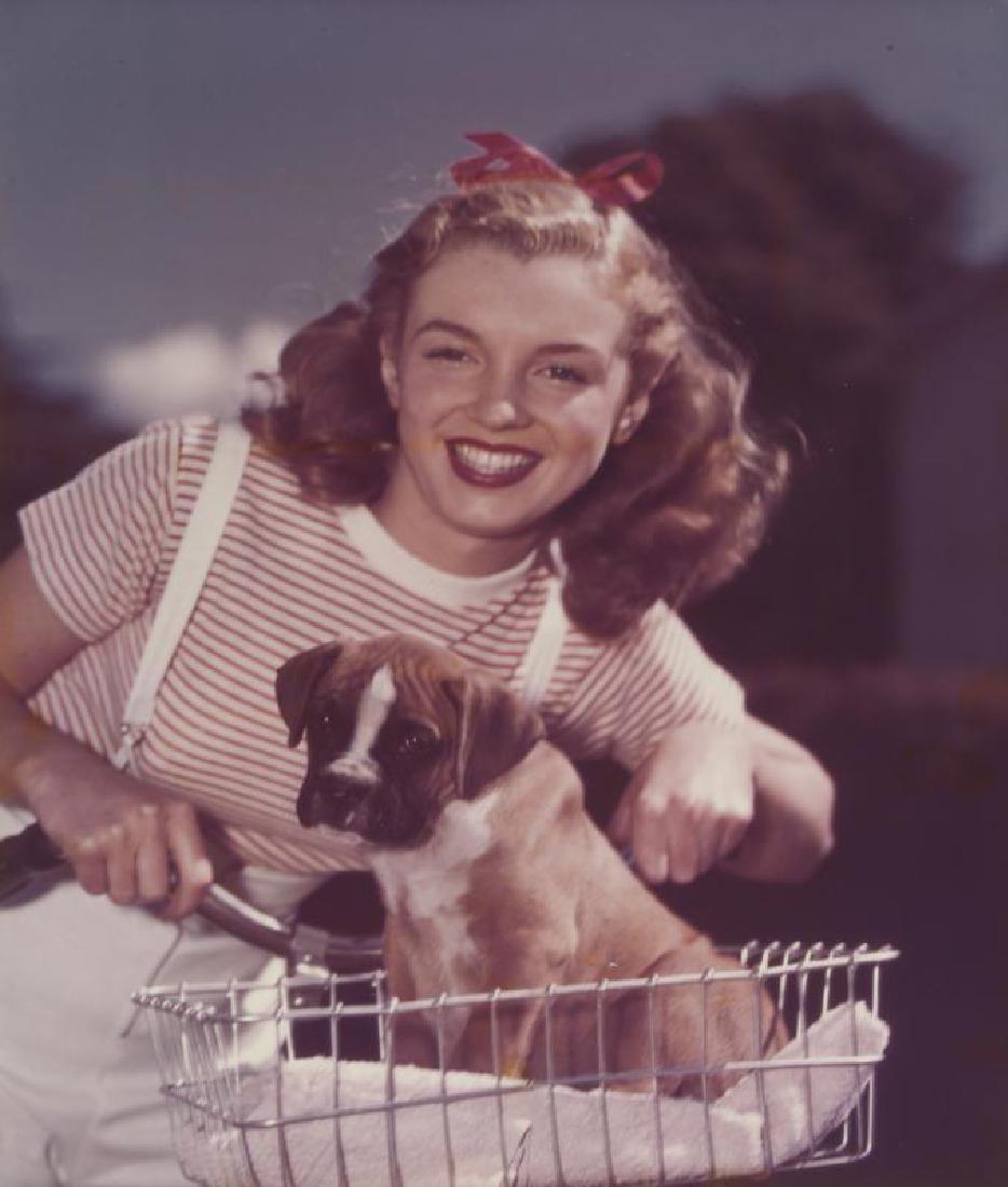 MARILYN MONROE COLOR PHOTOGRAPH (1 of 1)