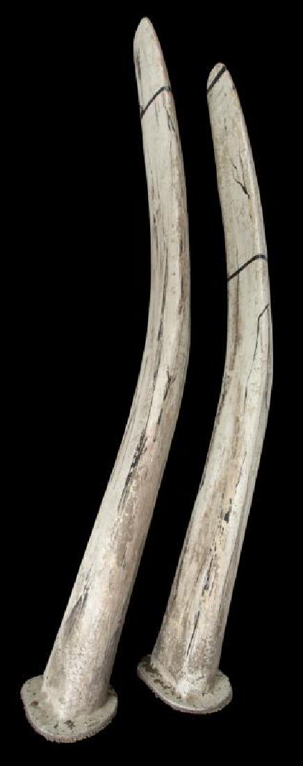 DIO STAGE USED RIB BONES (1 of 1)