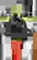 item-77311017=7