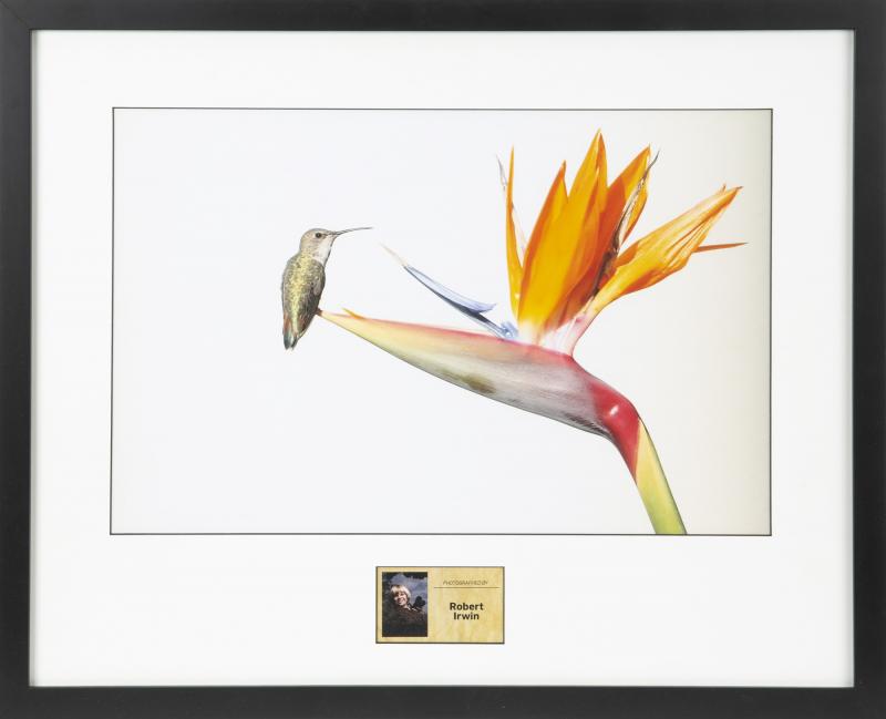 OLIVIA NEWTON-JOHN ROBERT IRWIN PHOTOGRAPH AND CAMERA: A Robert Irwin color photograph of a hummingbird resting on a bird-of-paradise frond, inscribed on the verso, "To Amazon John and Olivia, thank you so much for being incredible wildlife warriors!" Tog