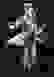 item-77311275=2