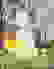 item-77311462=2