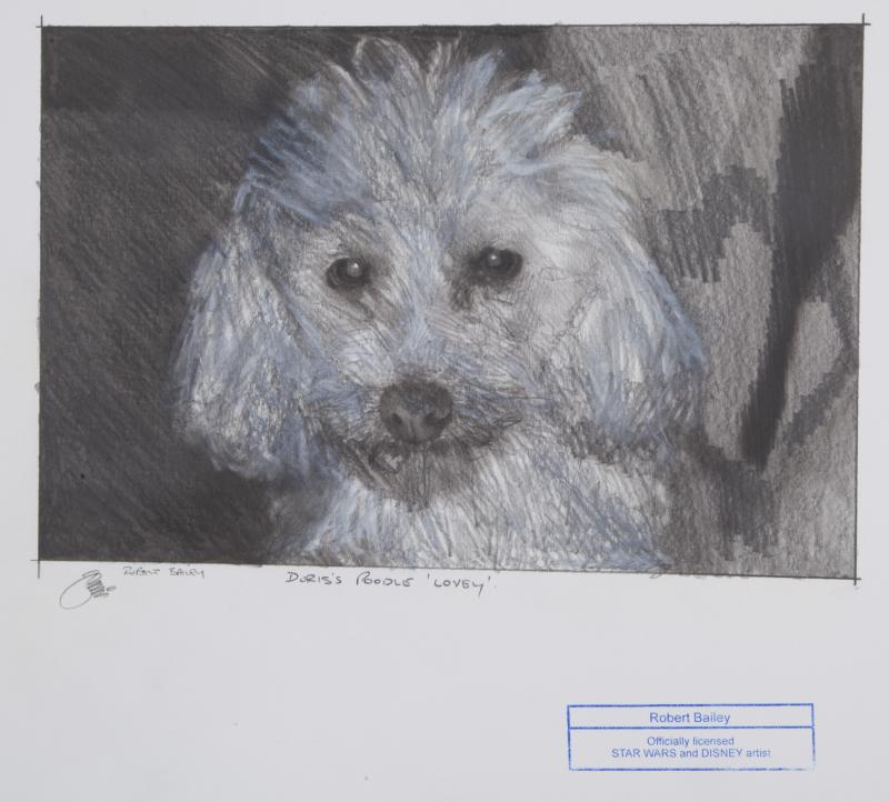 DORIS DAY ORIGINAL 'DOG' DRAWING SIGNED BY ROBERT (1 of 1)
