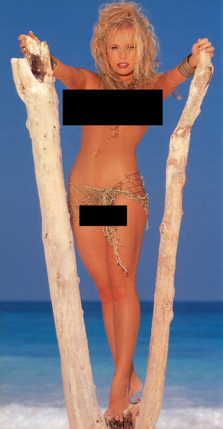 JAMIE BERGMAN PHOTOGRAPH ACCESSORY FROM PLAYBOY - 2