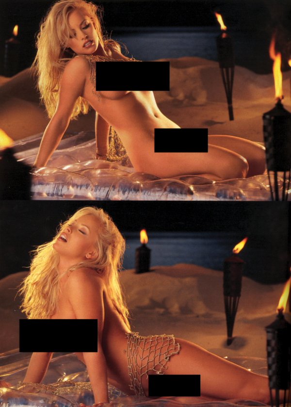 JAMIE BERGMAN PHOTOGRAPH ACCESSORY FROM PLAYBOY - 3