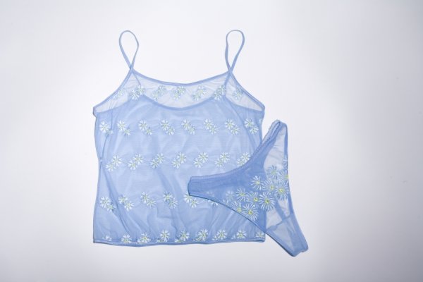 CHEMISE WORN BY AMY COBB IN "PLAYBOY": Blue mesh chemise and panty set with daisy motif worn by surfer and model Amy Cobb in the February 2001 issue of Playboy magazine. Accompanied by this issue of Playboy.