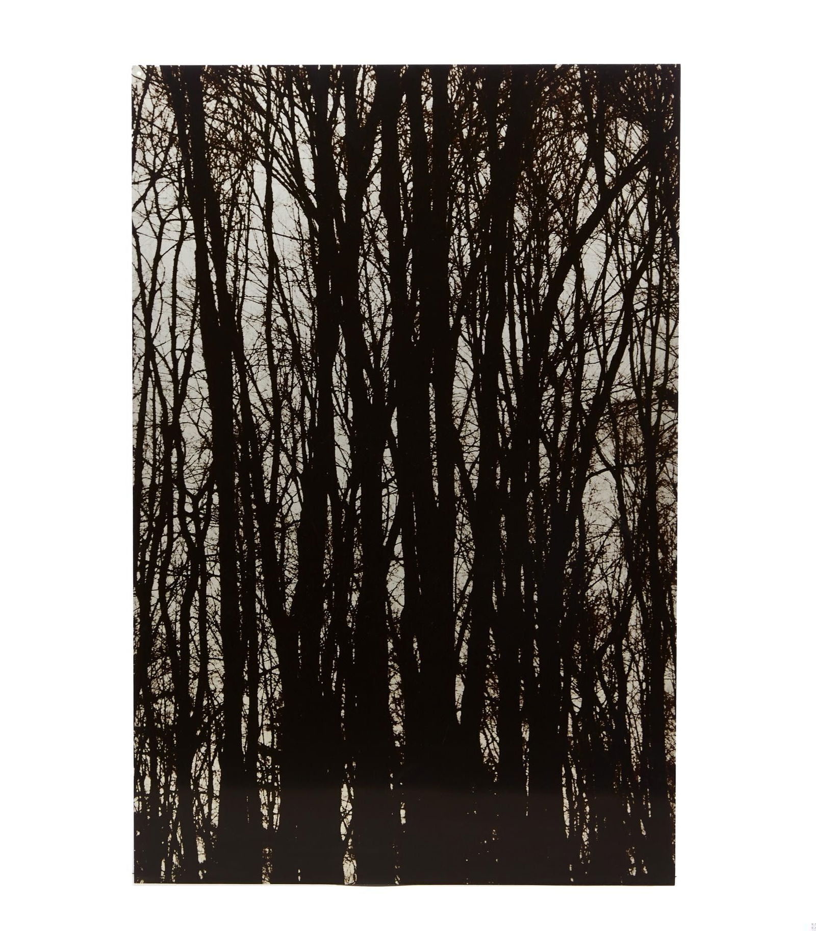 Tony Bennett | Limited-Edition Ray Charles White Signed Screen Print Enamel: Ray Charles White (b. 1961) screen printed enamel on anodized aluminum, titled "Malden Bridge," 2007, Durham Press. Signed and numbered on verso in black marker "5/45." 18 x 12 x 1 inches Other Artist