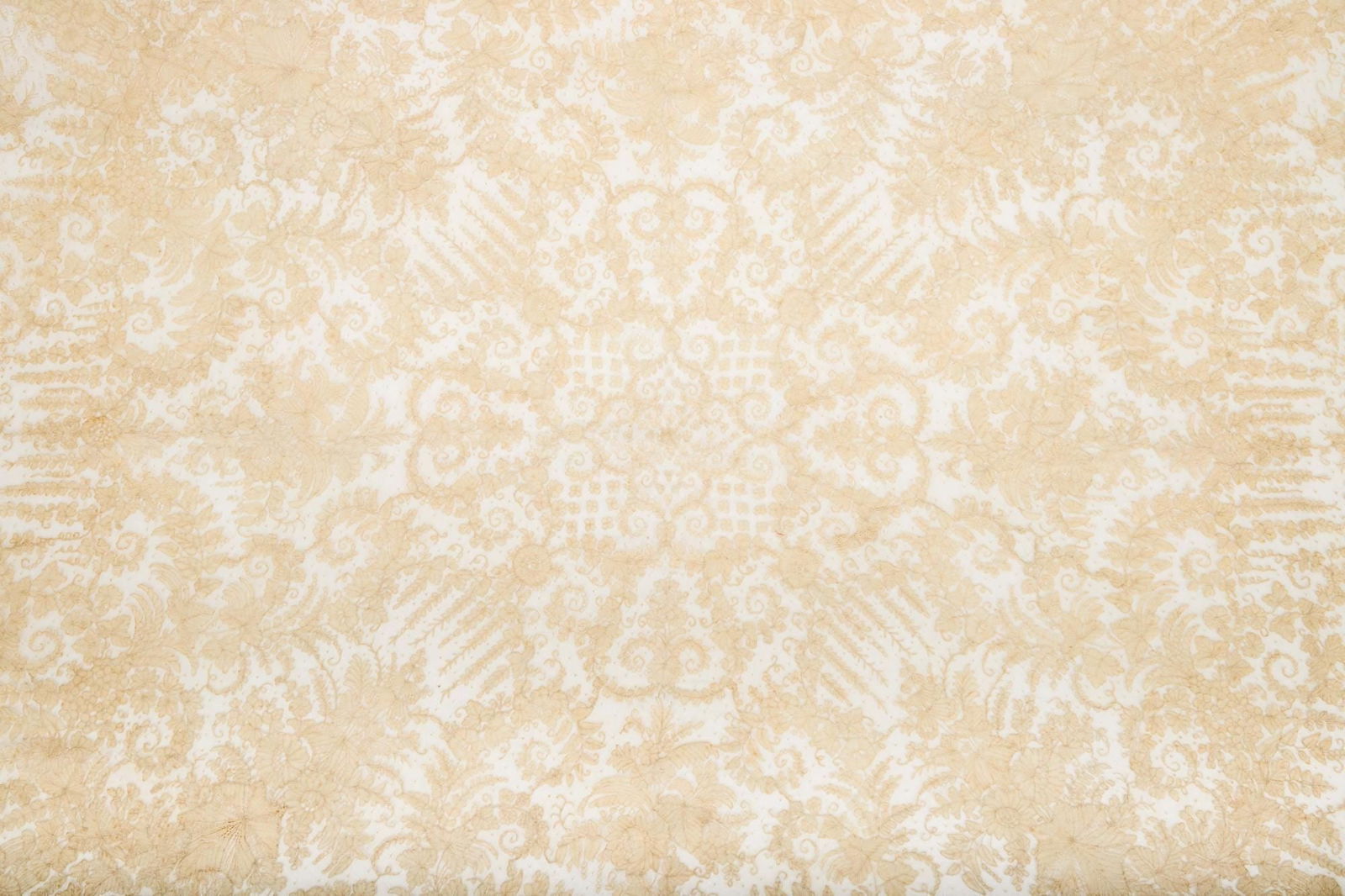 1883 Point de Gaze Veil | Marshall & Snelgrove Fine Brussels Lace Veil (1 of 4)