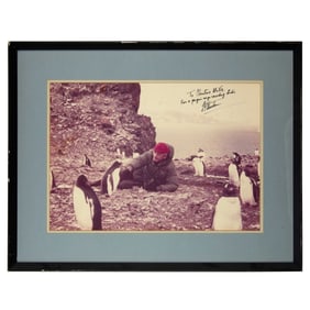 Christine McVie | Jacques Cousteau Signed And Dedicated Penguins Photograph