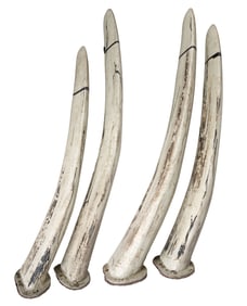 Dio | Stage-Used Rib Bone Props