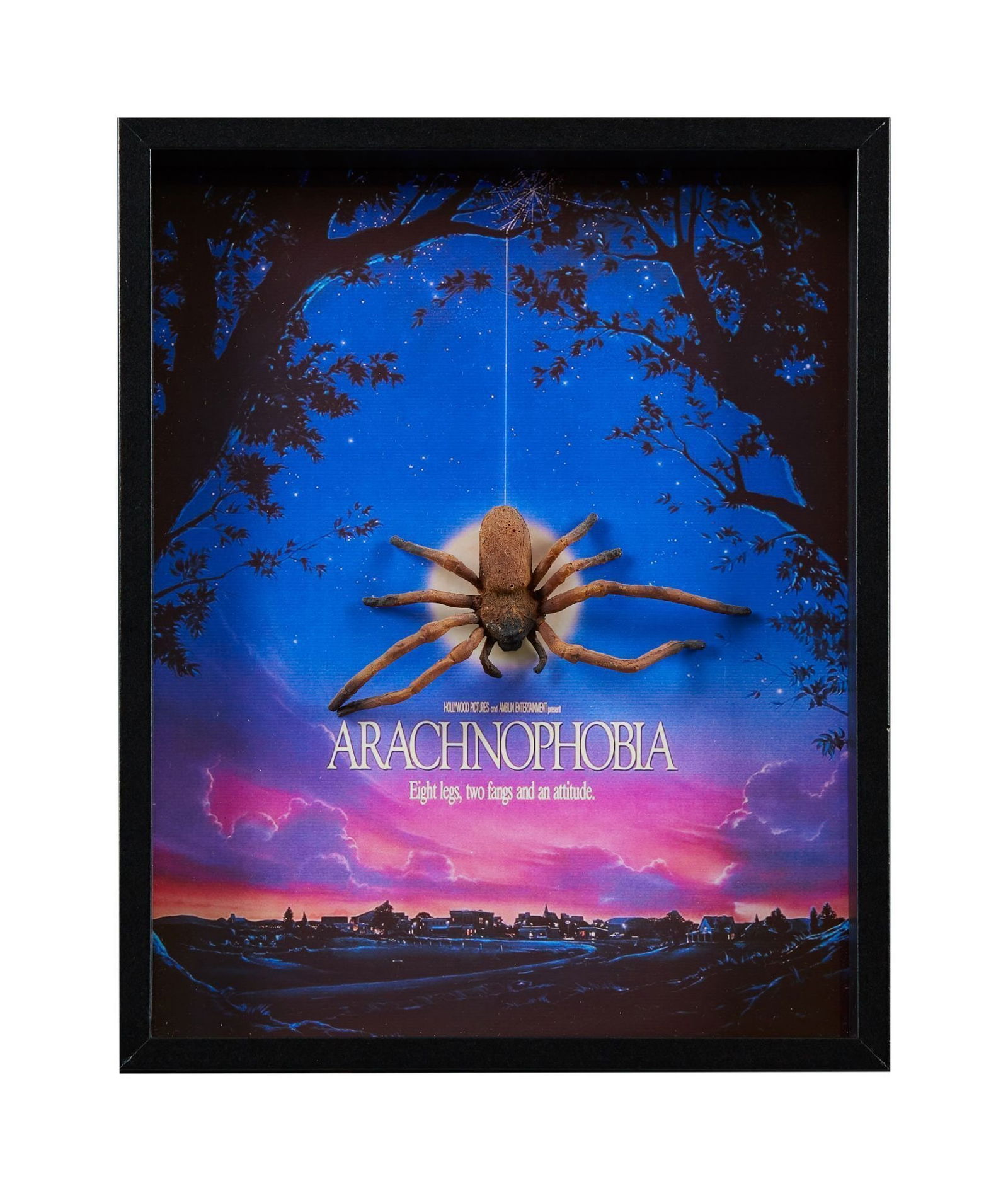 Arachnophobia | Spider Prop (1 of 2)