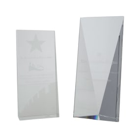 Olivia Newton-John | Two Awards