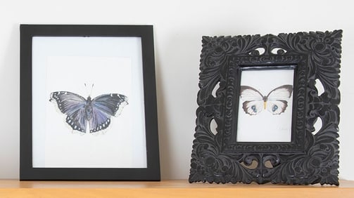 Olivia Newton-John | Two Butterfly Drawings