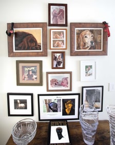 Olivia Newton-John | Portrait of Pet Dog Jack with Dog Tag and Collar