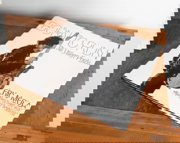 Olivia Newton-John | Book About Bruce Springsteen