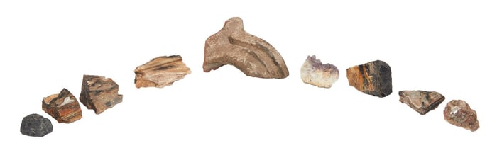 Leonard Cohen | Petrified Wood And Other Specimens