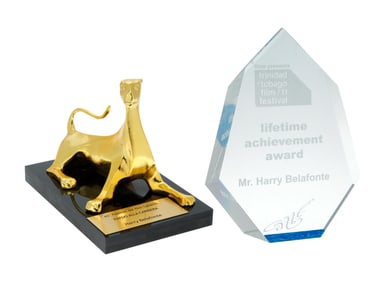 Harry Belafonte | Two Film Festival Awards