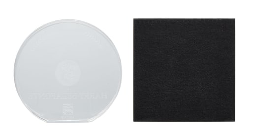 Harry Belafonte | ASCAP Harry Chapin Humanitarian Award