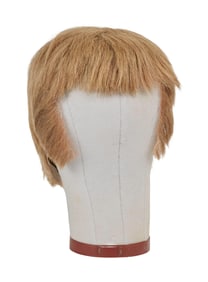 Captain Kangaroo | Captain Kangaroo's (Robert Keeshan) Signature Pageboy Wig