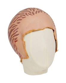 Alien Nation | Susan Francisco (Michele Scarabelli) Alien Head Appliance (B)