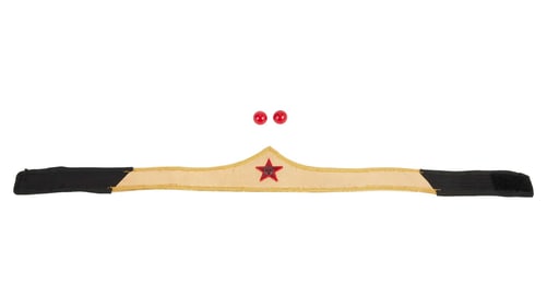 Wonder Woman | Photo-Matched Wonder Woman (Lynda Carter) Tiara Headpiece and Earrings with Photo