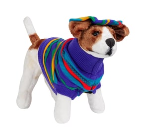 Frasier | Eddie the Dog (Moose) "Visions of Daphne" Sweater and Matching Striped Beret