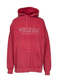 How I Met Your Mother | Marshall Eriksen (Jason Segel) Wesleyan University Hoodie Sweatshirt