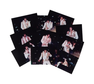 Elvis Presley | 1976 Unpublished Evansville, Indiana Concert Photos