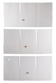 The Beatles | "Yellow Submarine" Butterfly Animation Cels