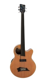 Alphonso Johnson | Warwick Alien Rockbass Fretless Acoustic-Electric Bass