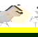 item-208706689=4