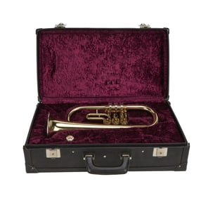 David Lynch | Cornet