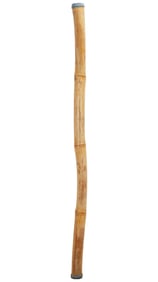 David Lynch | Rain Stick