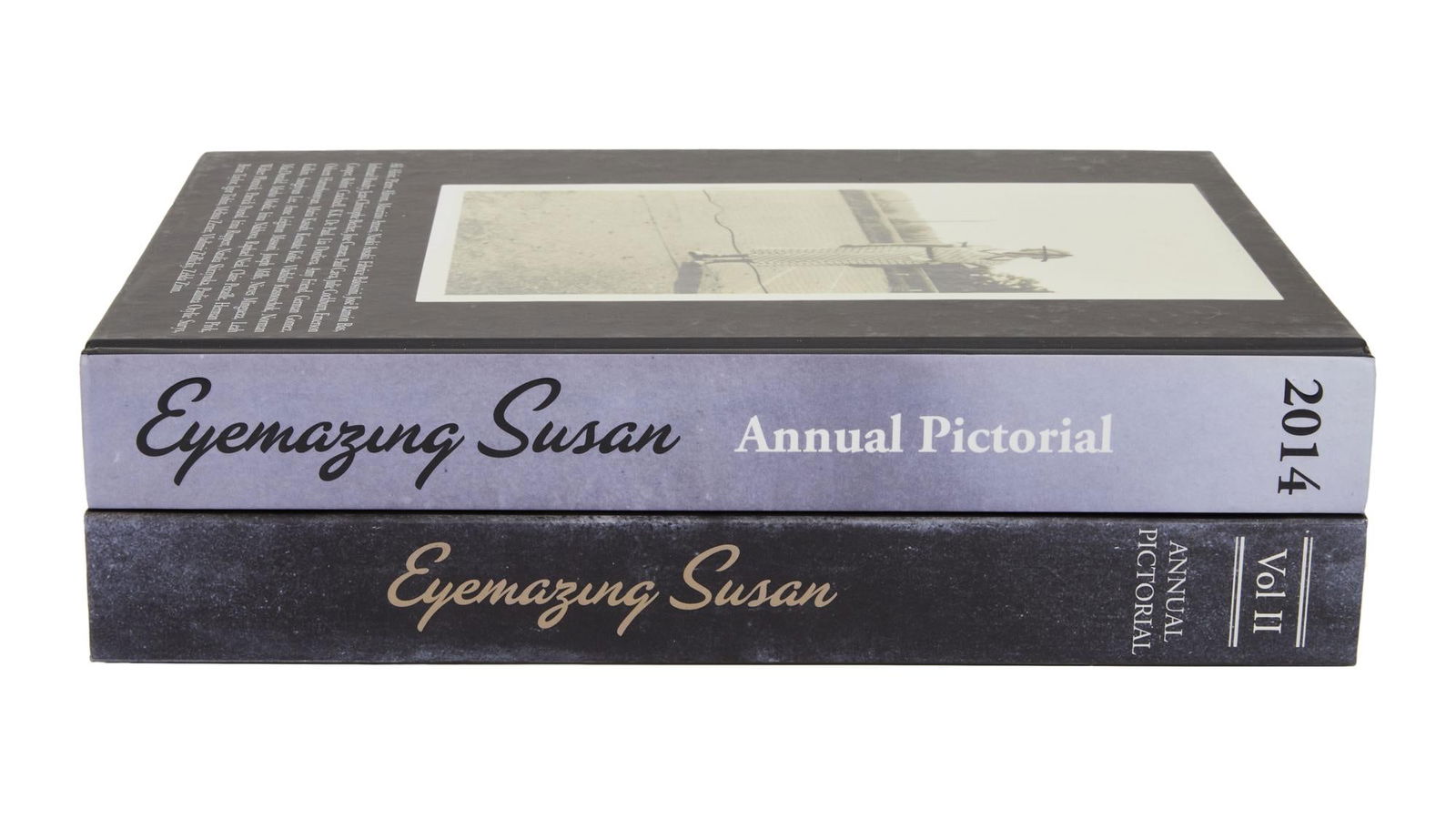 David Lynch | "Eyemazing Susan" Volumes Inscribed to David Lynch: A pair of volumes of Eyemazing Susan from the personal home collection of David Lynch, bearing a "Studio David Lynch" stamp and inscribed to Lynch by Susan. A pair of volumes of&nb