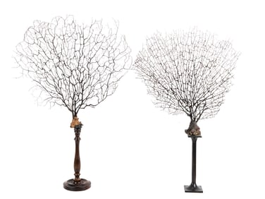 Larry King | 1980s Black Sea Fan Coral Branches