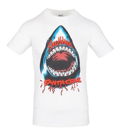 Santa Cruz | Vintage "Speed Wheels" T-Shirts and Sweatshirt (4)