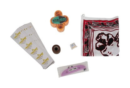 Vision | Bandana, Stickers, Sealed Wheels, and Sealed Tail Guard