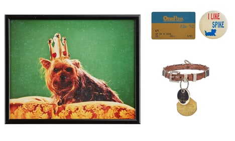 Joan Rivers - Pet Dog Spike's Collar and ID Tags with Mementos and Magazines