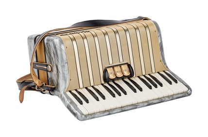 Florian Schneider | Hohner Concerto II accordion, Grey and Gold