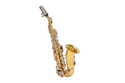 Florian Schneider | Berkeley Curved E-Flat Sopranino Saxophone