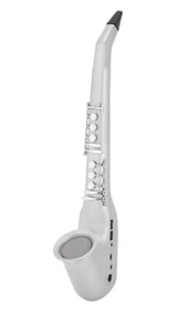 Florian Schneider | Casio DH-500 Digital Horn