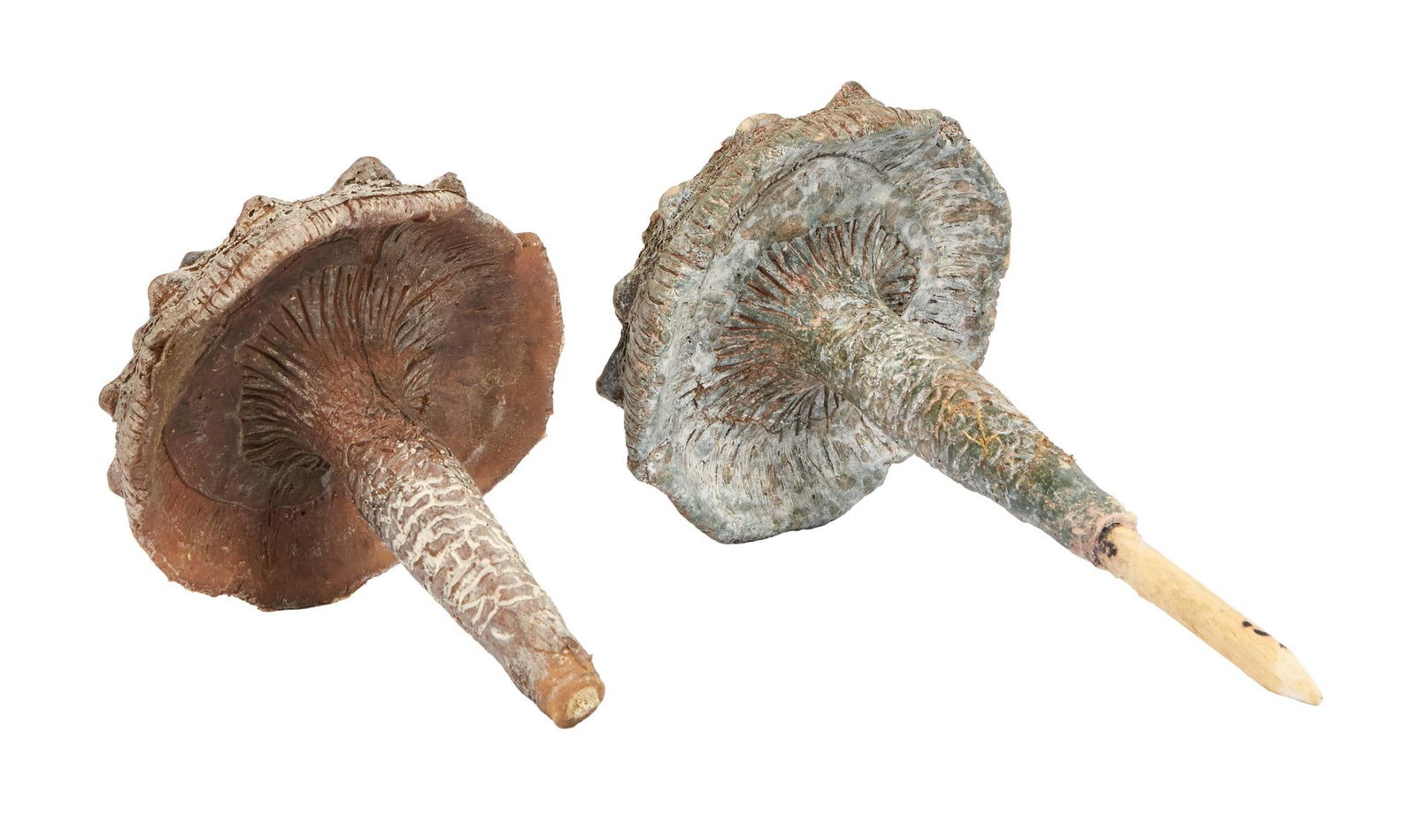 The Dark Crystal: Age of Resistance | Endless Forest Small Mushroom Set Dressing Props: An original pair of mushroom set dressing props used on the sets of Stone-in-the-Wood and the Endless Forest from the production of the television series The Dark Crystal: Age of Resistance (Netflix,